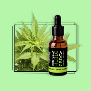 huile cbd bio chanvre 10% stilla sur fond vert