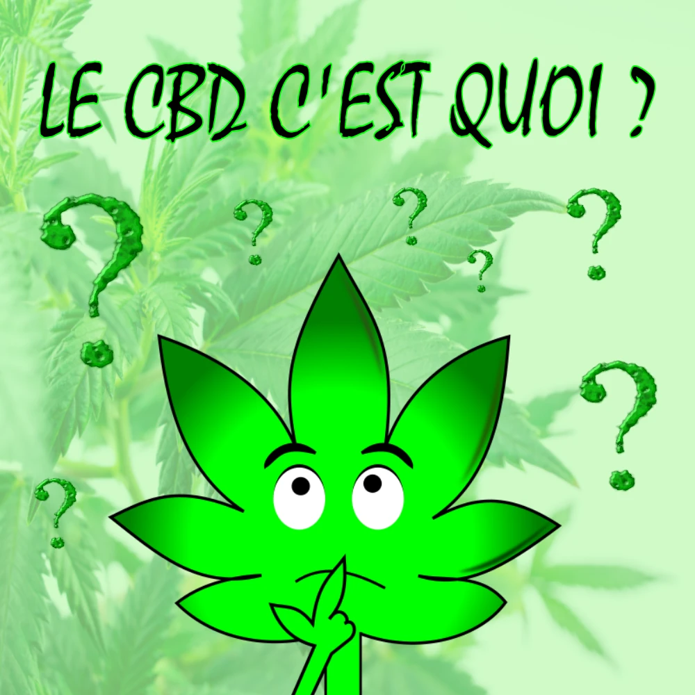 Monsieur green se demande ce qu'est le cbd