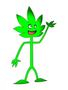 Monsieur Green