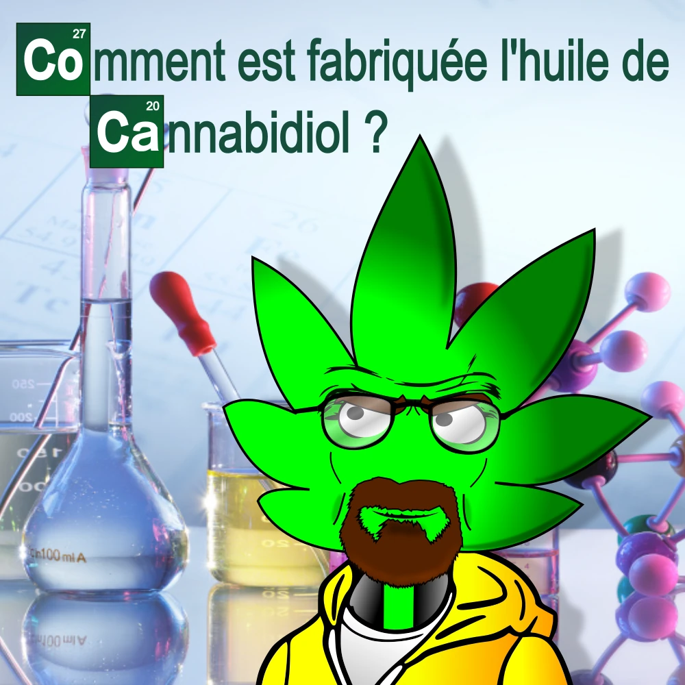 Monsieur green déguisé en walter white