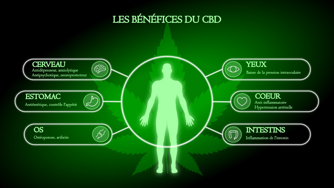 les bénéfices avérés et supposés du cbd