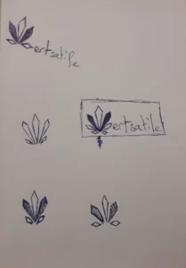 Il me semble que j'ai trouvé !