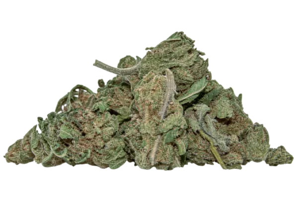 Fleur Small Bud Gelato CBD – Cloud Store CBD